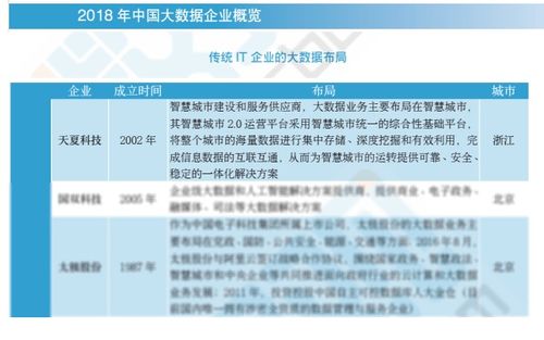 2018中國大數據企業報告出爐，天夏科技榮登IT企業大數據布局榜信息系統集成服務領域