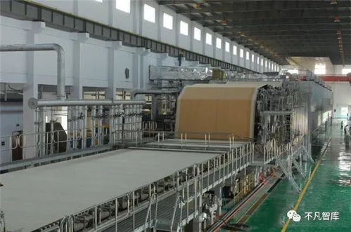 紙價“漲聲”再起 是消費囤貨，還是理性應對？——兼論個人投資管理的視角